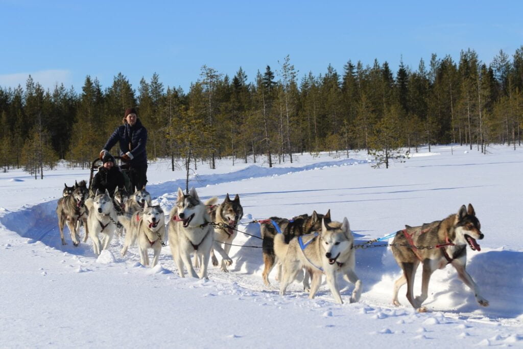 HuskyPark-4