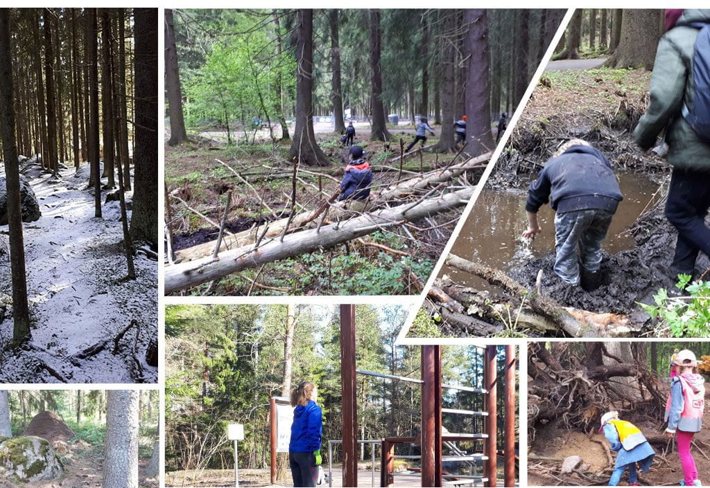 learninginforest